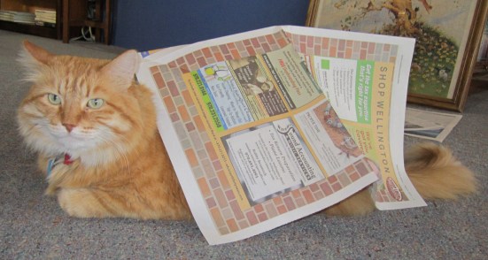 Monty reads the news