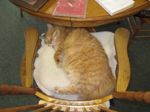 Sleeping is one way of coping.