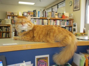 A cat with charisma.