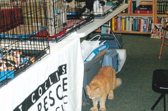 Monty at Adooption Event_20180829_0001